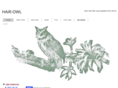 hair-owl.com