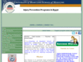 injurypreventionegypt.net