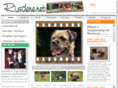 risdene.net