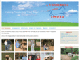 wonderdogltd.com