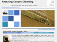 amazingcleaningnyc.com