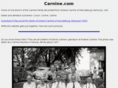 carnine.com