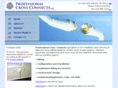 professionalcrossconnects.com