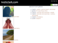 toshiclark.com