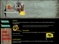 rayshomeimprovements.com