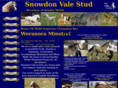 snowdonvale.com