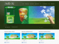 usahafranchise.com