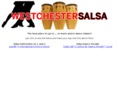 westchestersalsa.com