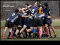 winchesterrugby.net