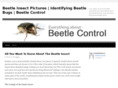beetle-control.com