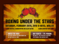 boxingunderthestars.com