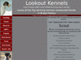 lookoutgwp.com