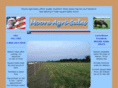 mooreagrisales.com