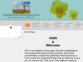 bestalternativeenergysources.org