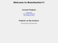 braingusher.com
