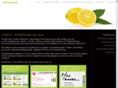 webdesign-vitamine-denhaag.com