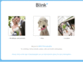 thisisblink.com