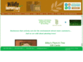 wildlyimportant.com