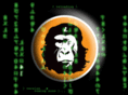 guerillasphere.com