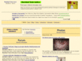 navidadtodo.com