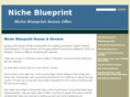 nicheblueprintniche.com