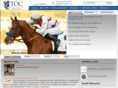 toconline.com