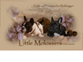 little-molossers.com