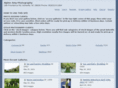 myalpinephotos.com
