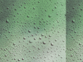 rentec-llc.com