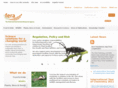 thefera.com