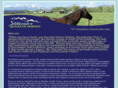 stillwaterquarterhorses.com
