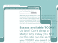 essayboy.com