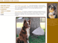 havenfordogs.org