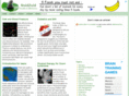 noidzoid.com