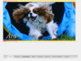buddingtoncavaliers.com