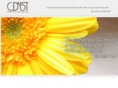 cdn5t.com