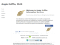 griffiniconsulting.com