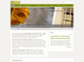 piian.com