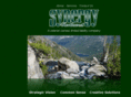 synergynorthwest.com