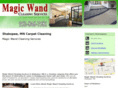 carpetcleaningburnsvillemn.com