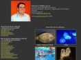 francescobellini.com