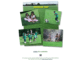 greenlineturf.com