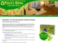patchsgreenclean.com