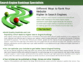 search-engine-ranking-specialist.com
