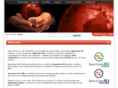 spectrumxli.com