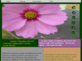 therapywithestelle.com