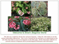 bradsbegoniaworld.com