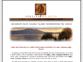 collins-realestate.com