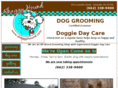 shaggyhound.com