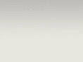 brandcastingunlimited.com